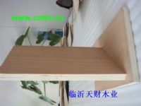 无醛CARB E0多层夹板,板式家具用胶合板